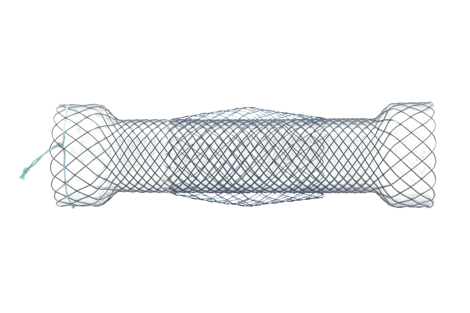 Double Esophageal Stent